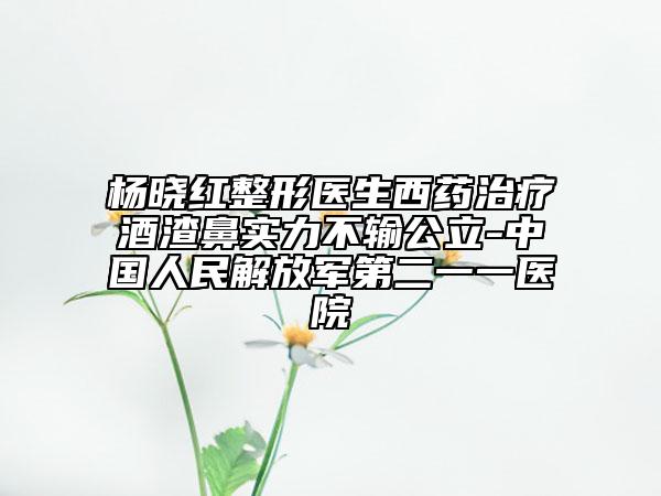 楊曉紅整形醫(yī)生西藥治療酒渣鼻實(shí)力不輸公立-中國(guó)人民解放軍第二一一醫(yī)院