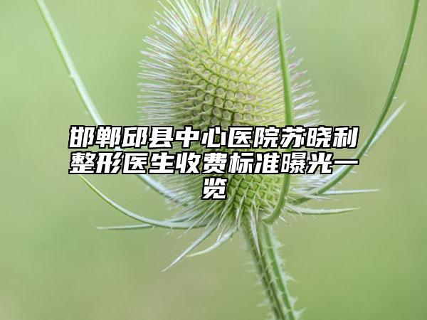 邯鄲邱縣中心醫(yī)院蘇曉利整形醫(yī)生收費(fèi)標(biāo)準(zhǔn)曝光一覽