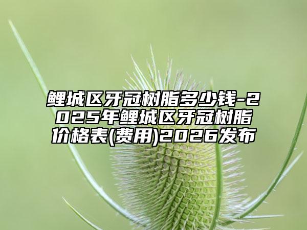 鯉城區(qū)牙冠樹脂多少錢-2025年鯉城區(qū)牙冠樹脂價(jià)格表(費(fèi)用)2026發(fā)布