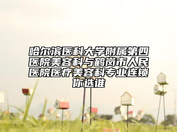 哈爾濱醫(yī)科大學(xué)附屬第四醫(yī)院美容科與鶴崗市人民醫(yī)院醫(yī)療美容科專業(yè)連鎖你選誰