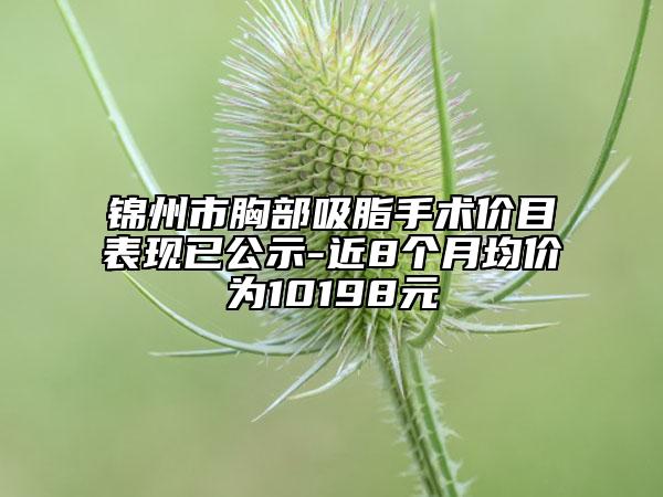 錦州市胸部吸脂手術(shù)價目表現(xiàn)已公示-近8個月均價為10198元