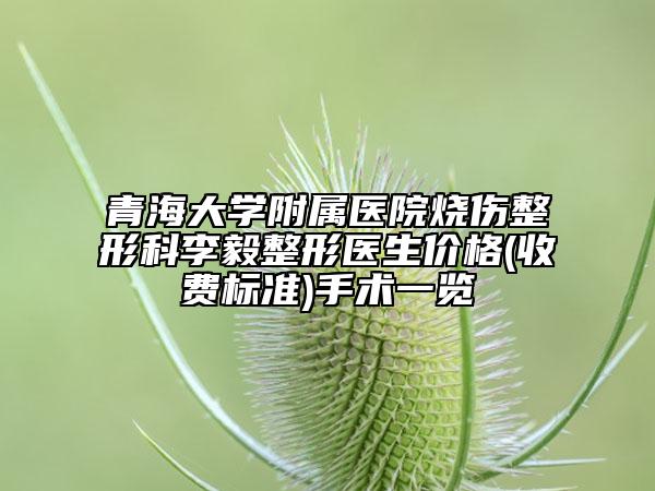 青海大學附屬醫(yī)院燒傷整形科李毅整形醫(yī)生價格(收費標準)手術一覽