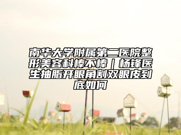 南華大學(xué)附屬第二醫(yī)院整形美容科棒不棒｜楊鋒醫(yī)生抽脂開眼角割雙眼皮到底如何