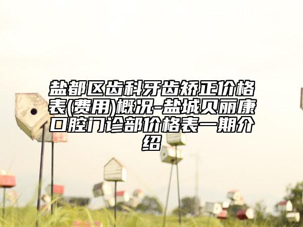 鹽都區(qū)齒科牙齒矯正價(jià)格表(費(fèi)用)概況-鹽城貝麗康口腔門診部?jī)r(jià)格表一期介紹