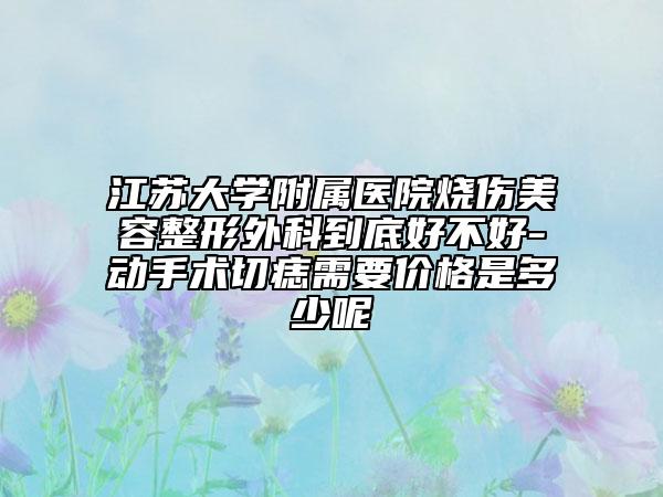 江蘇大學(xué)附屬醫(yī)院燒傷美容整形外科到底好不好-動(dòng)手術(shù)切痣需要價(jià)格是多少呢