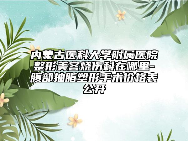 內(nèi)蒙古醫(yī)科大學附屬醫(yī)院整形美容燒傷科在哪里-腹部抽脂塑形手術價格表公開