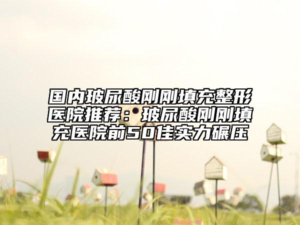 國內玻尿酸剛剛填充整形醫(yī)院推薦：玻尿酸剛剛填充醫(yī)院前50佳實力碾壓