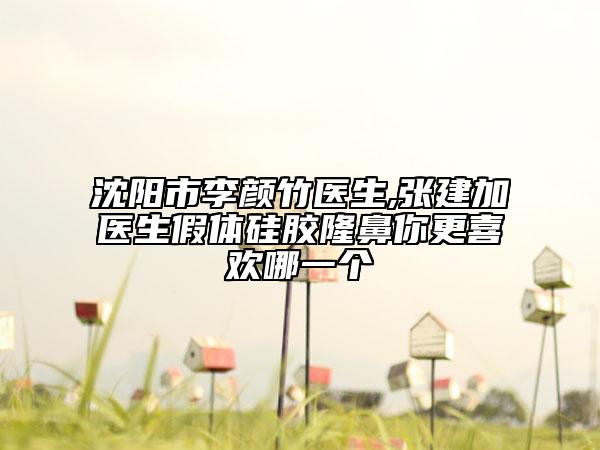 沈陽(yáng)市李顏竹醫(yī)生,張建加醫(yī)生假體硅膠隆鼻你更喜歡哪一個(gè)