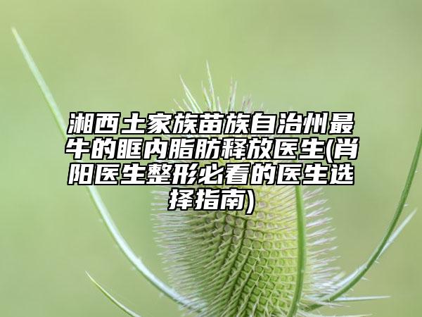 湘西土家族苗族自治州最牛的眶內(nèi)脂肪釋放醫(yī)生(肖陽醫(yī)生整形必看的醫(yī)生選擇指南)