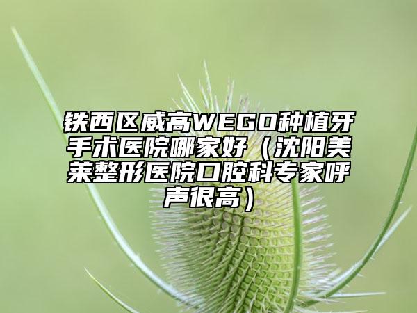 鐵西區(qū)威高WEGO種植牙手術(shù)醫(yī)院哪家好(沈陽美萊整形醫(yī)院口腔科專家呼聲很高)