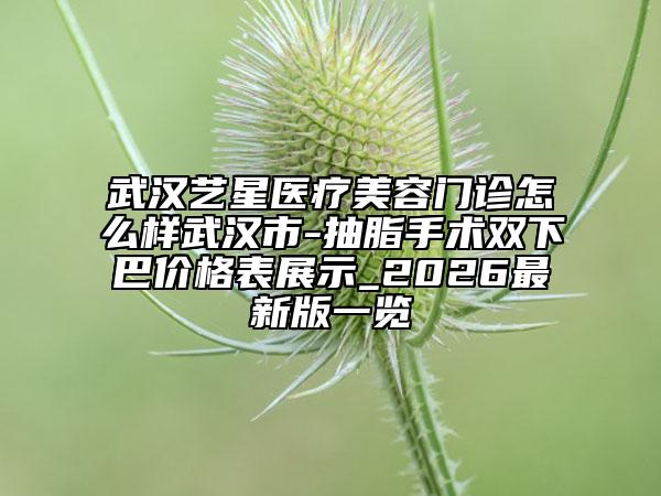 武漢藝星醫(yī)療美容門診怎么樣武漢市-抽脂手術(shù)雙下巴價格表展示_2026最新版一覽