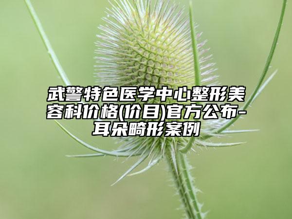 武警特色醫(yī)學中心整形美容科價格(價目)官方公布-耳朵畸形案例