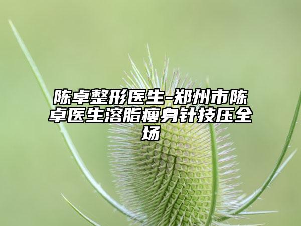 陳卓整形醫(yī)生-鄭州市陳卓醫(yī)生溶脂瘦身針技?jí)喝珗?chǎng)