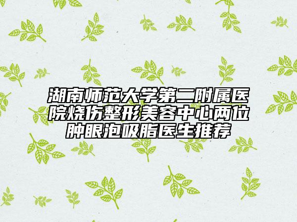 湖南師范大學第二附屬醫(yī)院燒傷整形美容中心兩位腫眼泡吸脂醫(yī)生推薦