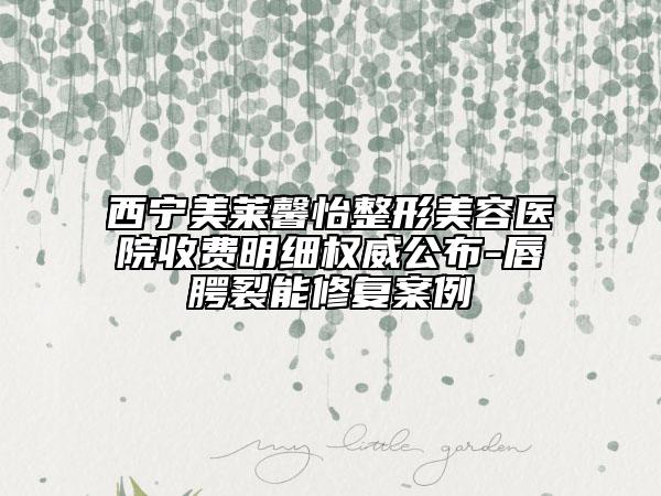 西寧美萊馨怡整形美容醫(yī)院收費(fèi)明細(xì)權(quán)威公布-唇腭裂能修復(fù)案例