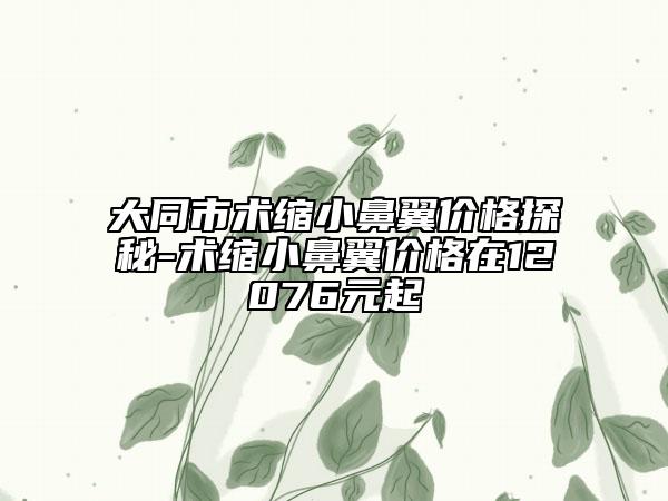 大同市術(shù)縮小鼻翼價(jià)格探秘-術(shù)縮小鼻翼價(jià)格在12076元起