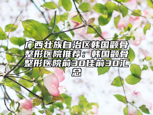 廣西壯族自治區(qū)韓國顴骨整形醫(yī)院推薦:韓國顴骨整形醫(yī)院前30佳前30匯總