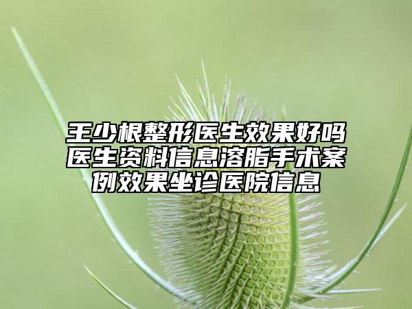 王少根整形醫(yī)生效果好嗎醫(yī)生資料信息溶脂手術(shù)案例效果坐診醫(yī)院信息