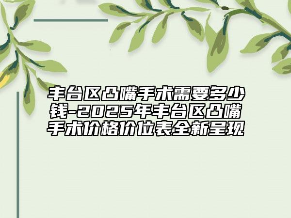 豐臺區(qū)凸嘴手術(shù)需要多少錢-2025年豐臺區(qū)凸嘴手術(shù)價格價位表全新呈現(xiàn)