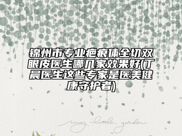 錦州市專業(yè)疤痕體全切雙眼皮醫(yī)生哪幾家效果好(丁晨醫(yī)生這些專家是醫(yī)美健康守護者)