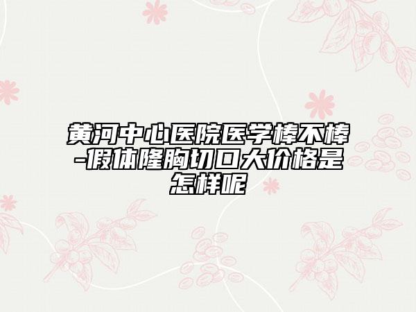 黃河中心醫(yī)院醫(yī)學(xué)棒不棒-假體隆胸切口大價(jià)格是怎樣呢