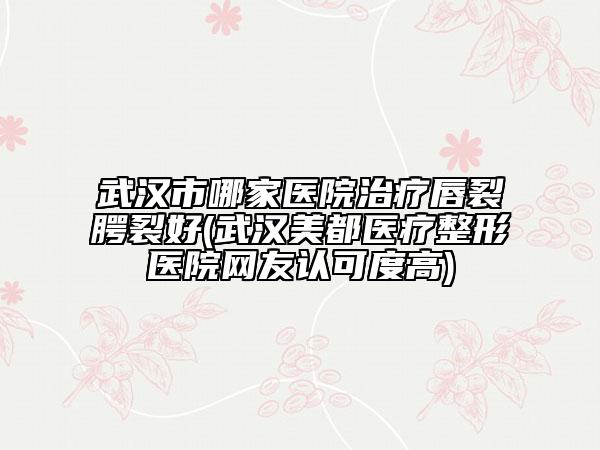 武漢市哪家醫(yī)院治療唇裂腭裂好(武漢美都醫(yī)療整形醫(yī)院網(wǎng)友認可度高)