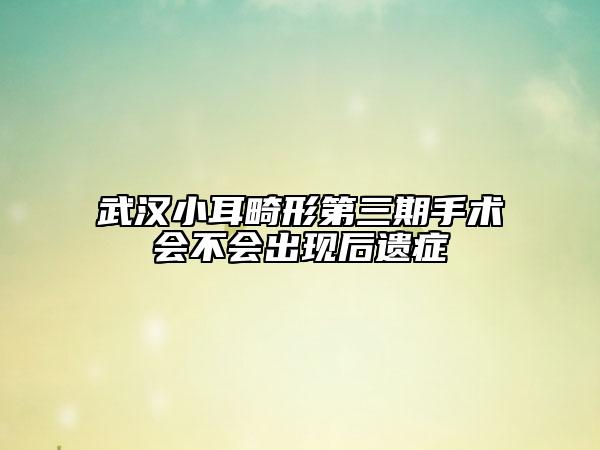 武漢小耳畸形第三期手術(shù)會不會出現(xiàn)后遺癥