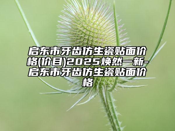 啟東市牙齒仿生瓷貼面價(jià)格(價(jià)目)2025煥然一新-啟東市牙齒仿生瓷貼面價(jià)格