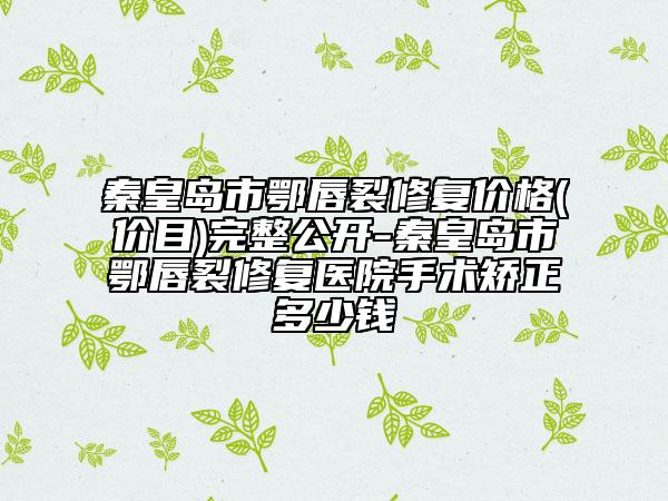 秦皇島市鄂唇裂修復價格(價目)完整公開-秦皇島市鄂唇裂修復醫(yī)院手術(shù)矯正多少錢