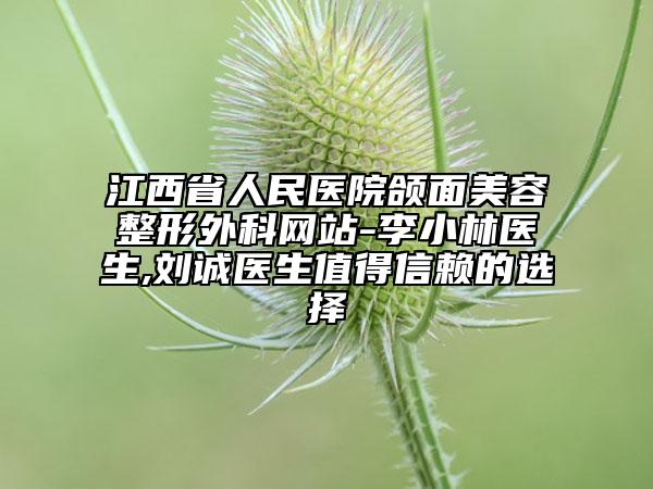 江西省人民醫(yī)院頜面美容整形外科網(wǎng)站-李小林醫(yī)生,劉誠醫(yī)生值得信賴的選擇