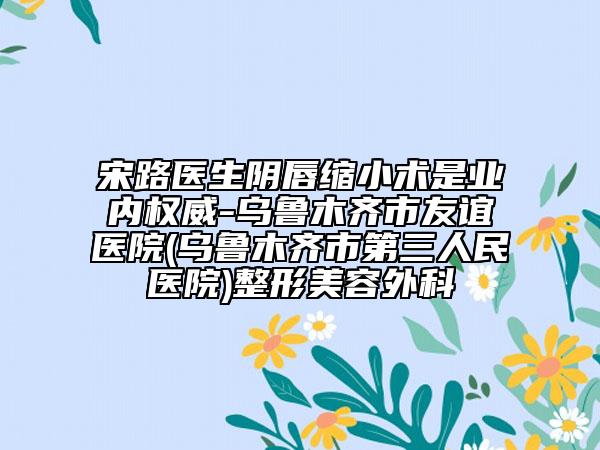 宋路醫(yī)生陰唇縮小術(shù)是業(yè)內(nèi)權(quán)威-烏魯木齊市友誼醫(yī)院(烏魯木齊市第三人民醫(yī)院)整形美容外科