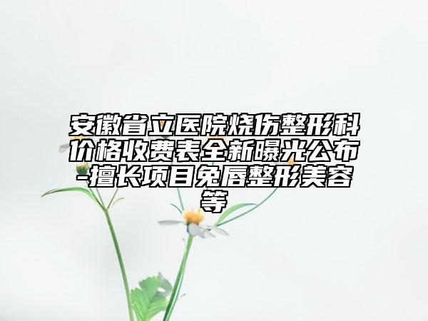 安徽省立醫(yī)院燒傷整形科價格收費表全新曝光公布-擅長項目兔唇整形美容等