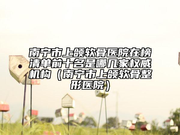 南寧市上頜軟骨醫(yī)院在榜清單前十名是哪幾家權(quán)威機(jī)構(gòu)(南寧市上頜軟骨整形醫(yī)院)