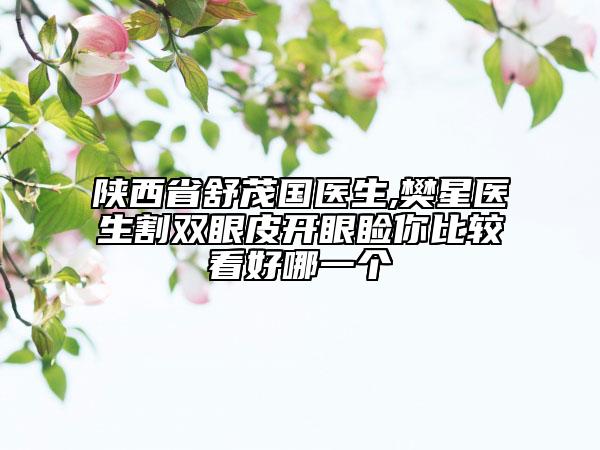 陜西省舒茂國(guó)醫(yī)生,樊星醫(yī)生割雙眼皮開(kāi)眼瞼你比較看好哪一個(gè)