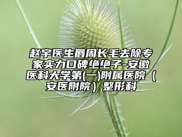 趙宇醫(yī)生唇周長毛去除專家實力口碑絕絕子-安徽醫(yī)科大學第(一)附屬醫(yī)院（安醫(yī)附院）整形科
