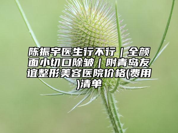 陳振宇醫(yī)生行不行｜全顏面小切口除皺｜附青島友誼整形美容醫(yī)院價格(費用)清單