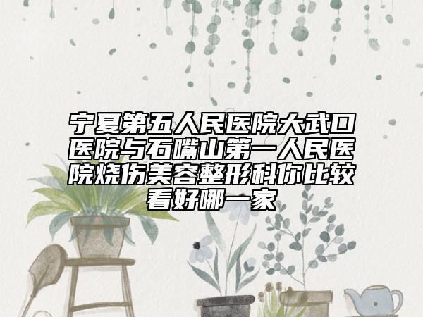 寧夏第五人民醫(yī)院大武口醫(yī)院與石嘴山第一人民醫(yī)院燒傷美容整形科你比較看好哪一家