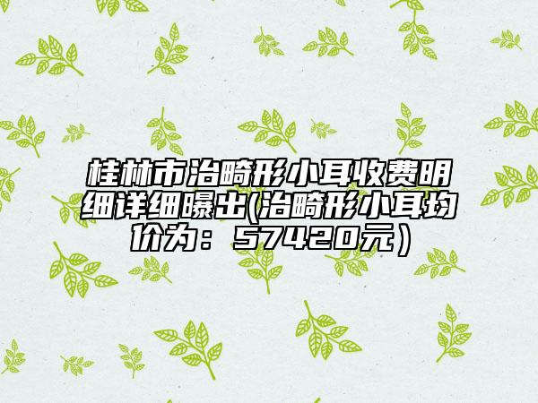 桂林市治畸形小耳收費(fèi)明細(xì)詳細(xì)曝出(治畸形小耳均價(jià)為:57420元)