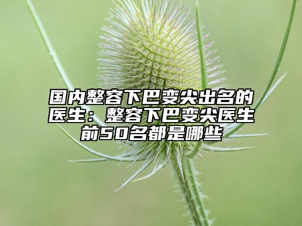 國內(nèi)整容下巴變尖出名的醫(yī)生:整容下巴變尖醫(yī)生前50名都是哪些