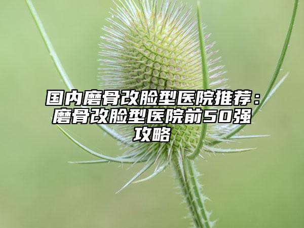 國內(nèi)磨骨改臉型醫(yī)院推薦:磨骨改臉型醫(yī)院前50強(qiáng)攻略