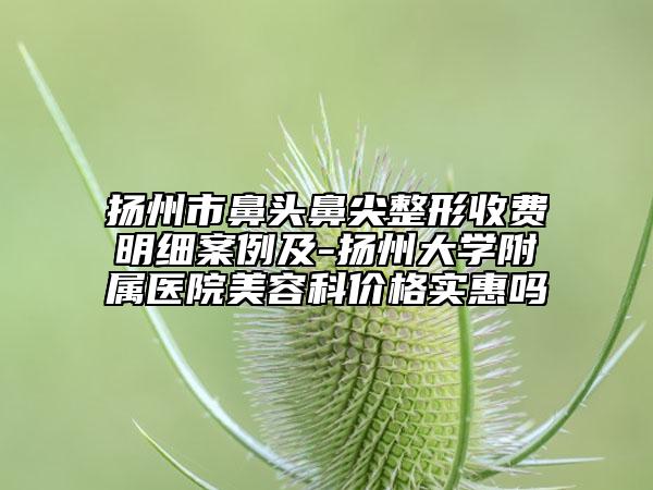 揚(yáng)州市鼻頭鼻尖整形收費(fèi)明細(xì)案例及-揚(yáng)州大學(xué)附屬醫(yī)院美容科價(jià)格實(shí)惠嗎