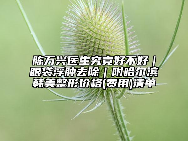 陳萬興醫(yī)生究竟好不好｜眼袋浮腫去除｜附哈爾濱韓美整形價格(費用)清單