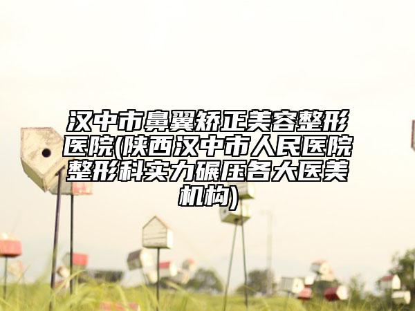 漢中市鼻翼矯正美容整形醫(yī)院(陜西漢中市人民醫(yī)院整形科實(shí)力碾壓各大醫(yī)美機(jī)構(gòu))