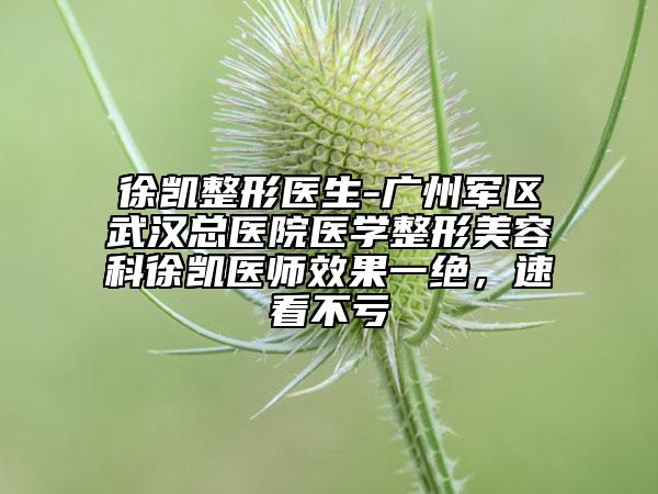 徐凱整形醫(yī)生-廣州軍區(qū)武漢總醫(yī)院醫(yī)學(xué)整形美容科徐凱醫(yī)師效果一絕,速看不虧