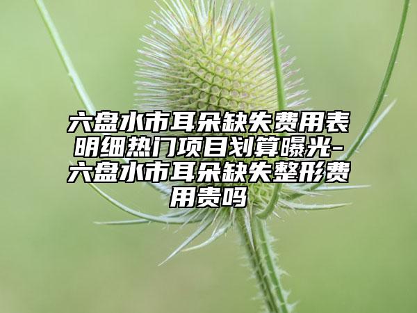 六盤水市耳朵缺失費用表明細熱門項目劃算曝光-六盤水市耳朵缺失整形費用貴嗎
