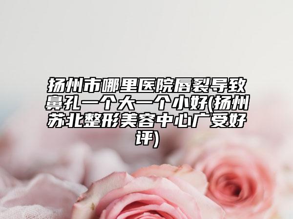 揚州市哪里醫(yī)院唇裂導致鼻孔一個大一個小好(揚州蘇北整形美容中心廣受好評)