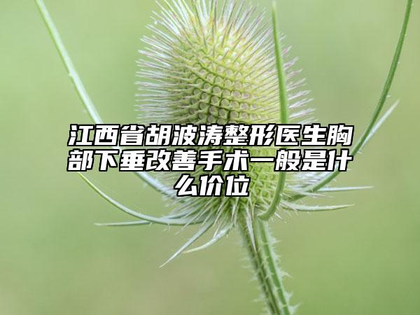江西省胡波濤整形醫(yī)生胸部下垂改善手術(shù)一般是什么價(jià)位