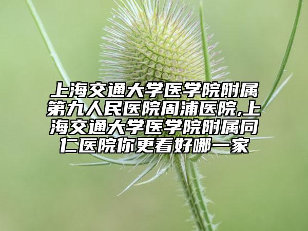 上海交通大學(xué)醫(yī)學(xué)院附屬第九人民醫(yī)院周浦醫(yī)院,上海交通大學(xué)醫(yī)學(xué)院附屬同仁醫(yī)院你更看好哪一家