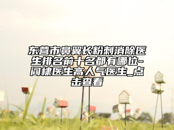 東營市鼻翼長粉刺消除醫(yī)生排名前十名都有哪位-閻棣醫(yī)生高人氣醫(yī)生_點(diǎn)擊查看
