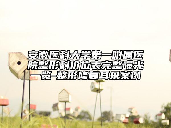 安徽醫(yī)科大學(xué)第一附屬醫(yī)院整形科價位表完整曝光一覽-整形修復(fù)耳朵案例